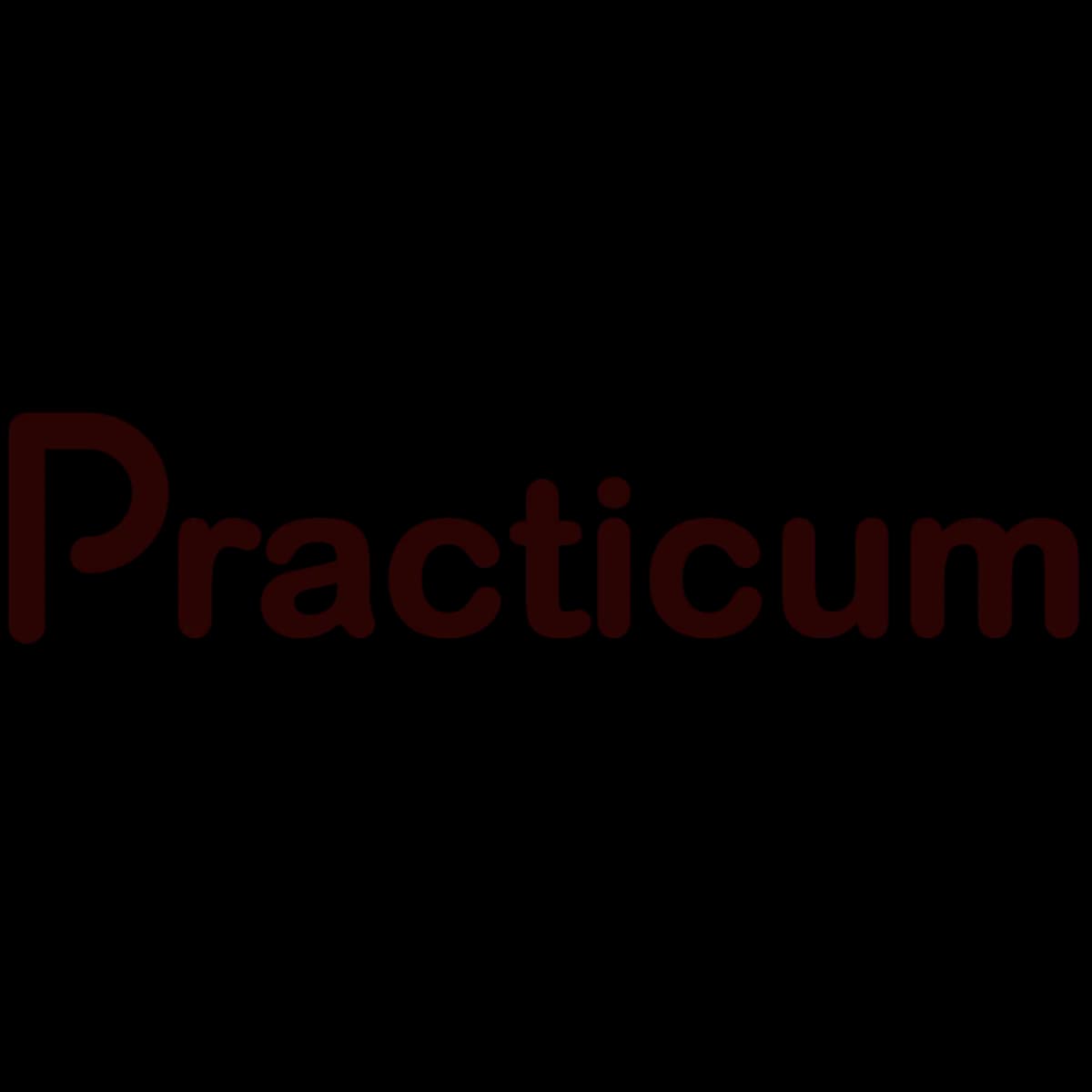 Practicum